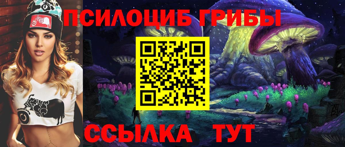 Галлюциногенные грибы GOLDEN TEACHER  купить наркотик  Чебоксары  Вход с VPN 